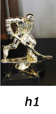 Hockey Action Trophy – h1