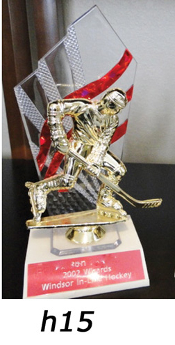 Hockey Action Trophy – h15