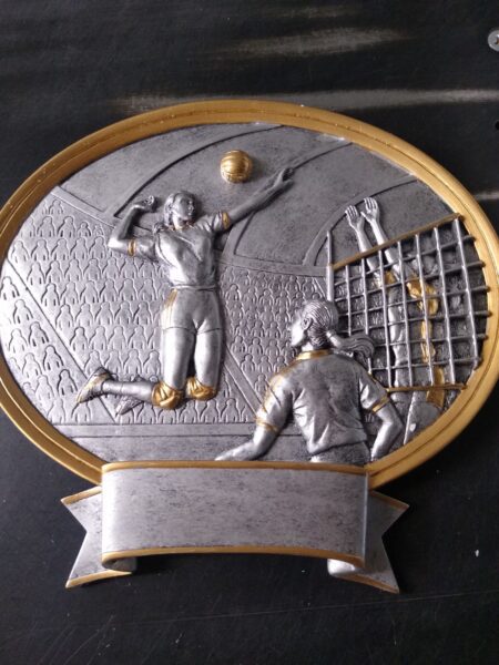 Volleyball Plaques